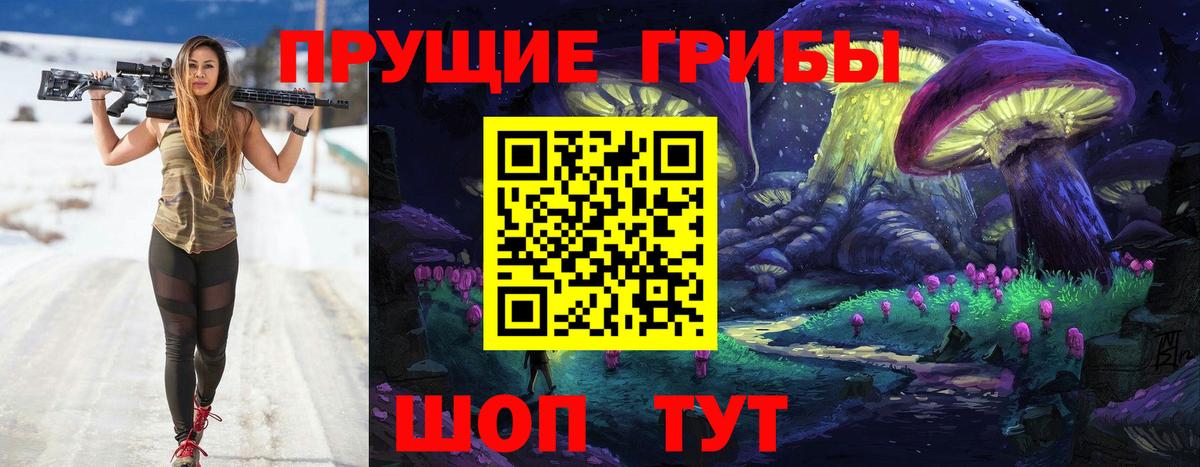 Рязань  Псилоцибиновые грибы Cubensis  Вход с VPN 